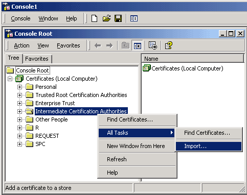 IIS SSL server certificate - console